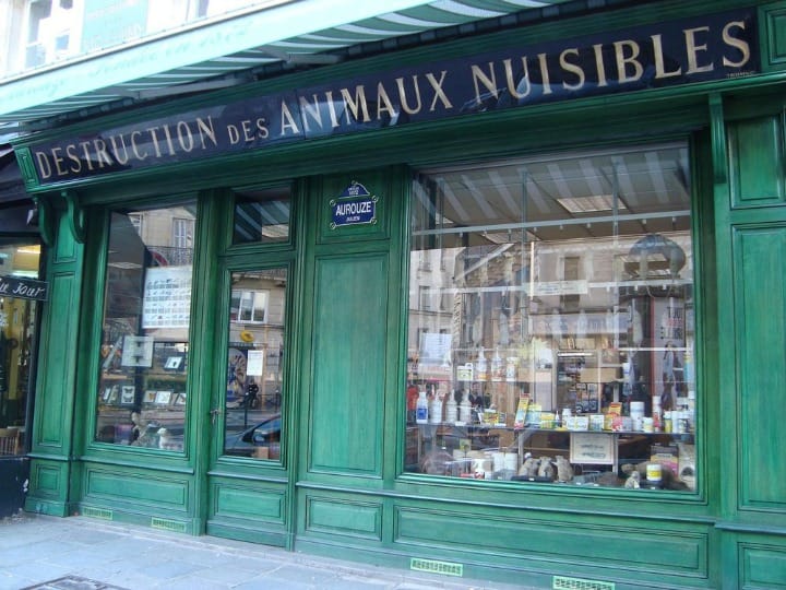 au-renard-blanc-vitrine-originale-paris-commerce-boutique-commercant