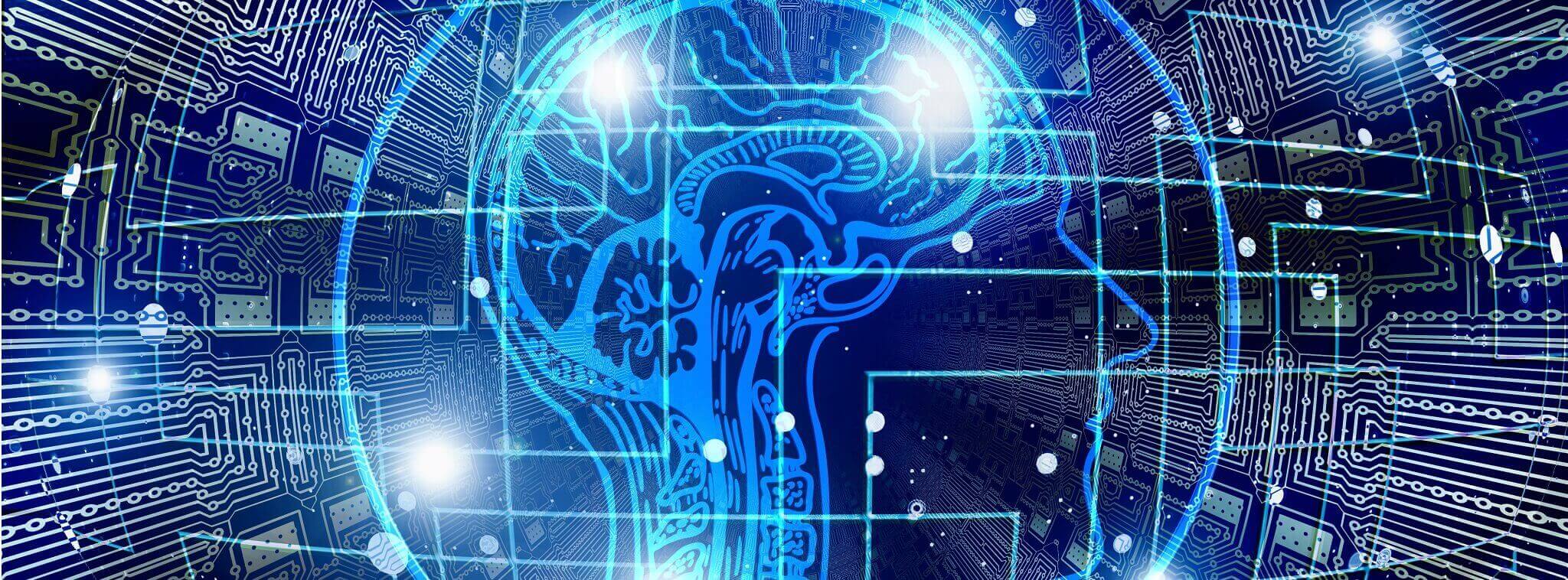 image d'un cerveau humain avec des connections, metaphore de la connaissance