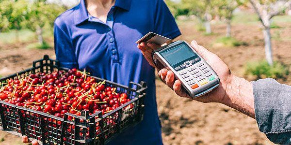 porducteur de fruit en circuit court qui vend ces produits en live