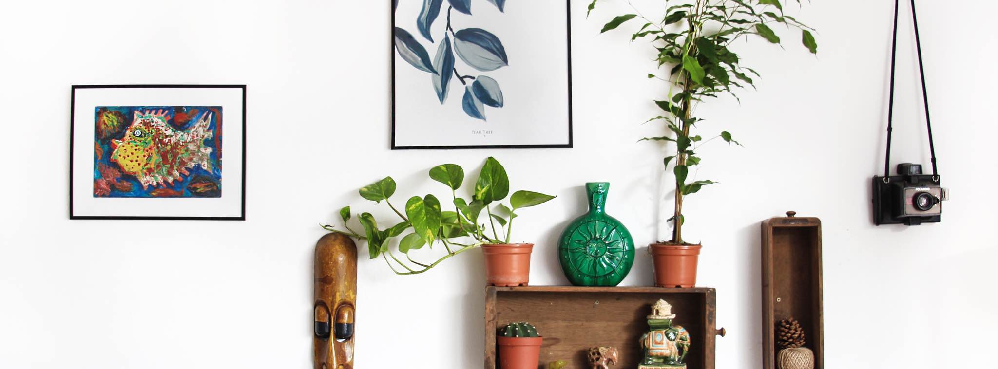 mur décoré avec des objets dans un magasin de décoration